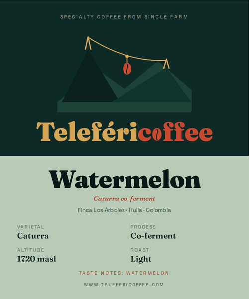 Caturra Co-fermented Watermelon - "Watermelon Sugar"